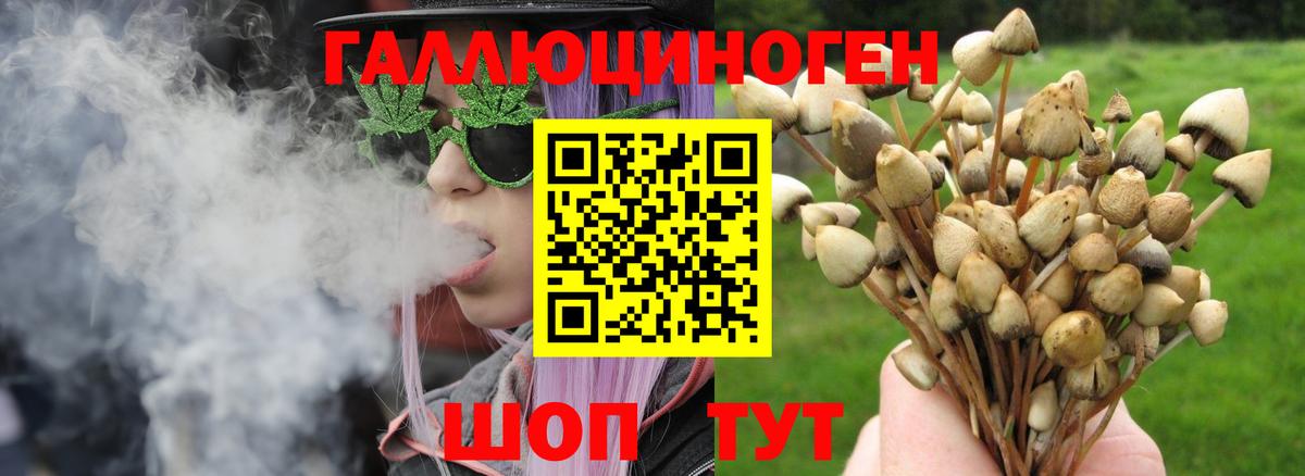 Псилоцибиновые грибы Magic Shrooms Сегежа